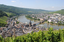 Mosel Wine Experience