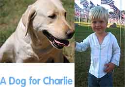 A Dog for Charlie